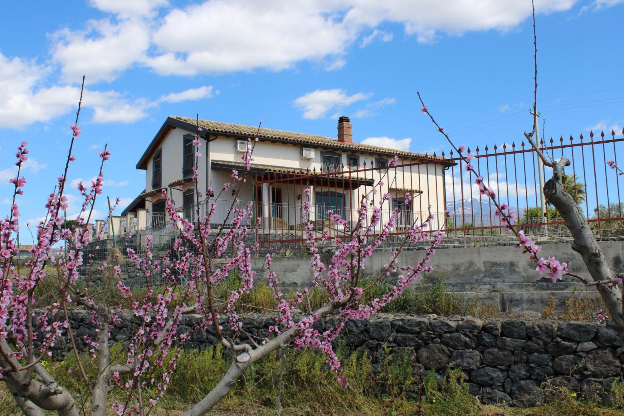 Ranch Simeto Hotel Paterno  Buitenkant foto